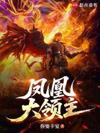 凤凰大领主